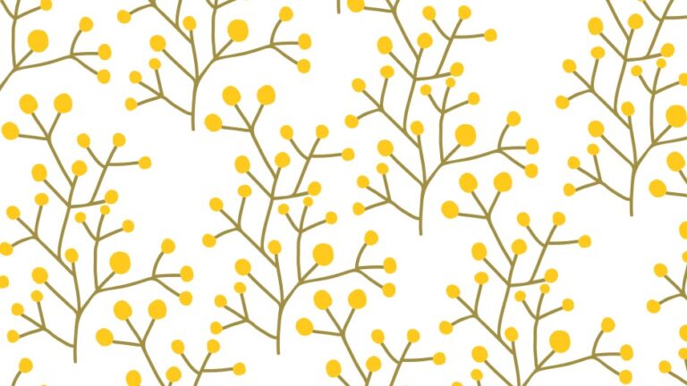 SIGMA dp1 quattro （C）遊人寫眞機帖 SIGMA LUMIX