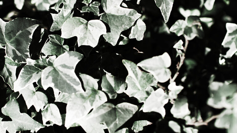 SIGMA SD15 FOVEON 作例(C)遊人寫眞機帖 SIGMA LUMIX 写真ギャラリーブログ