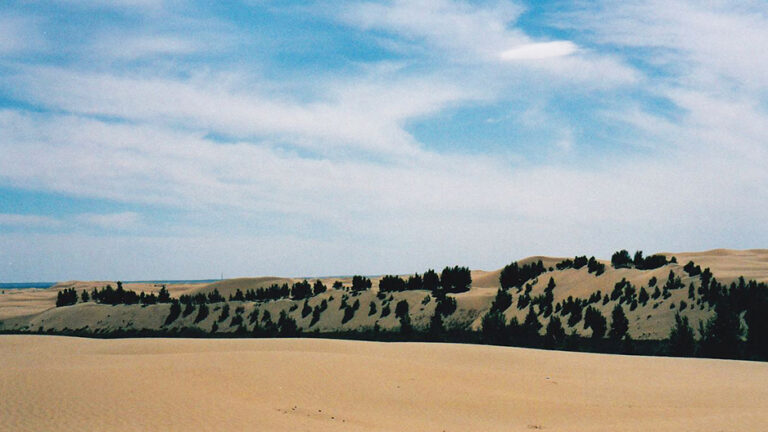 中国研修・内モンゴル自治区・恩格貝・2007・CONTAX G1 (C)遊人寫眞機帖