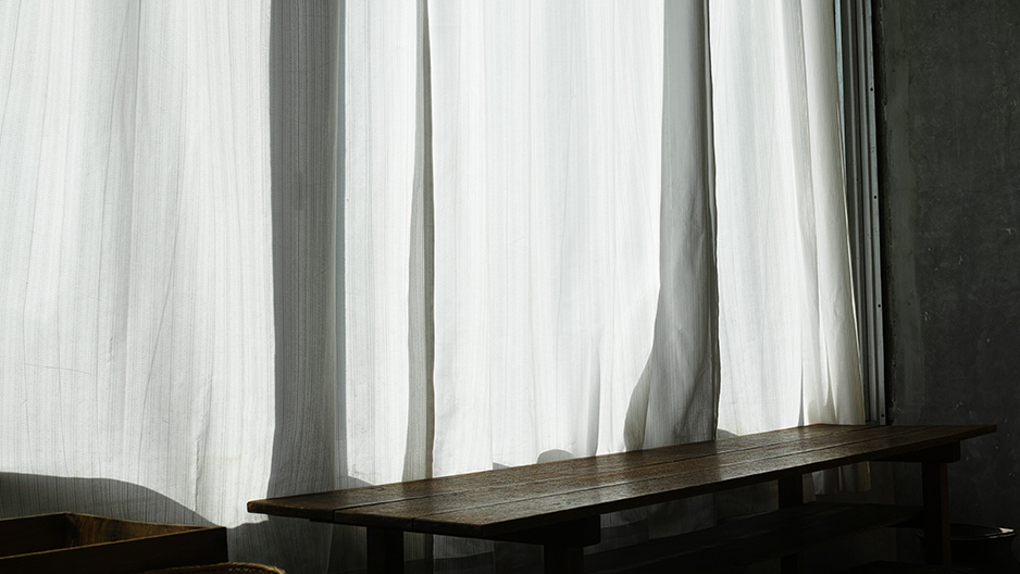 SIGMA DP2 Merrill Foveon 東京 白山 photo snap 写真 TOKYO JAPAN (C) 遊人寫眞機帖　主にSIGMA Foveon LUMIXで撮った写真を掲載しています。